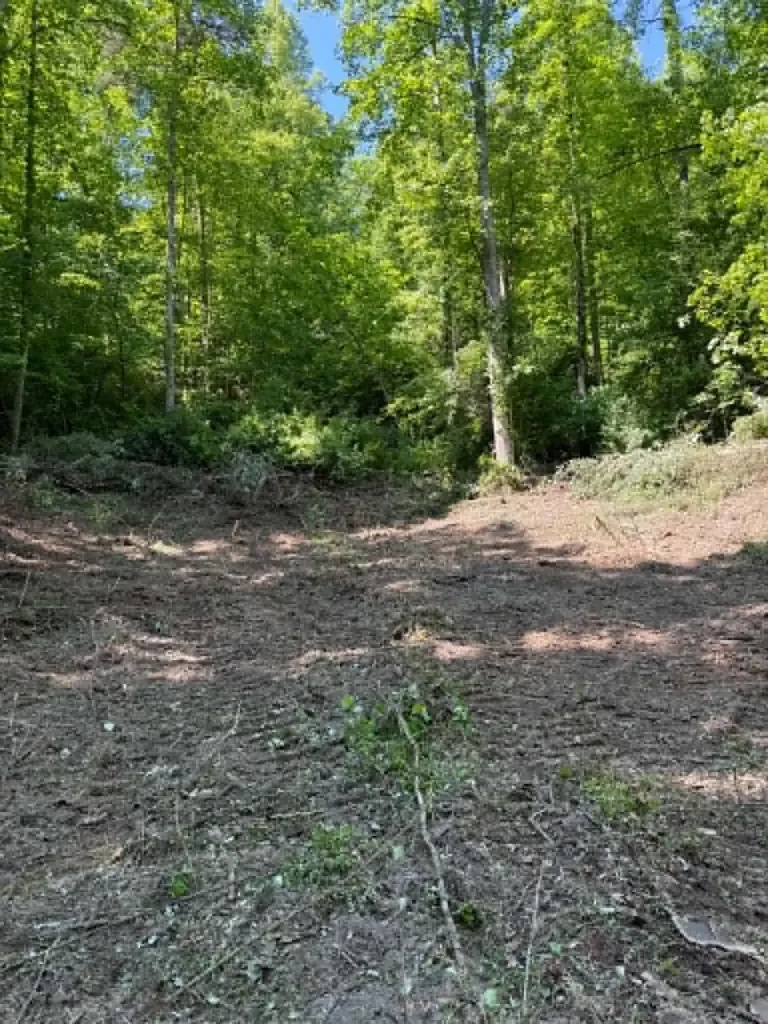 0 Ky-706 Road Sandy Hook KY 41171