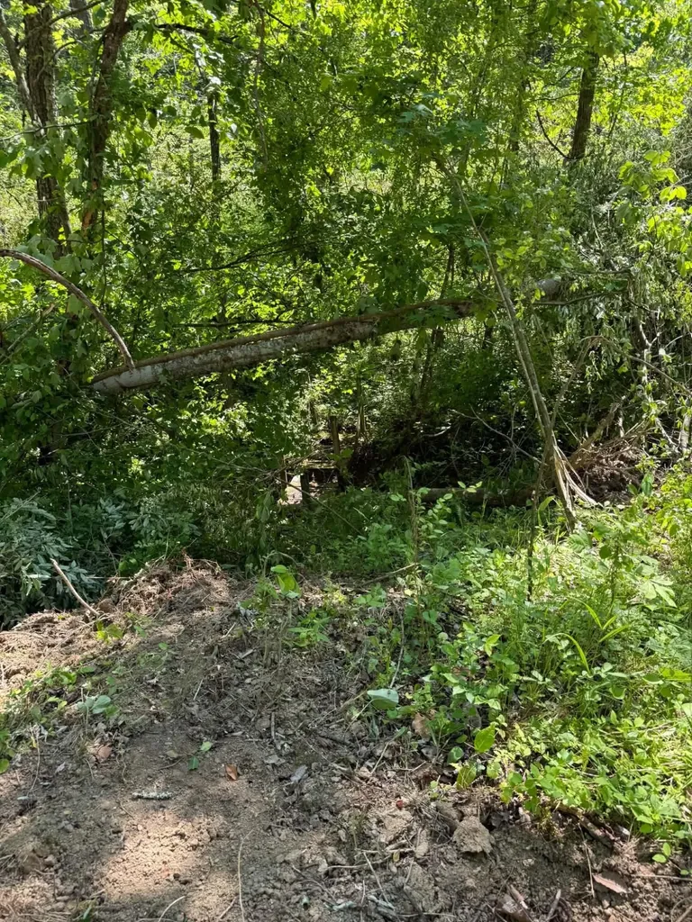0 Ky-706 Road Sandy Hook KY 41171