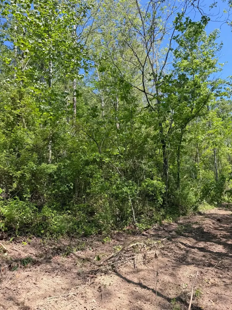 0 Ky-706 Road Sandy Hook KY 41171