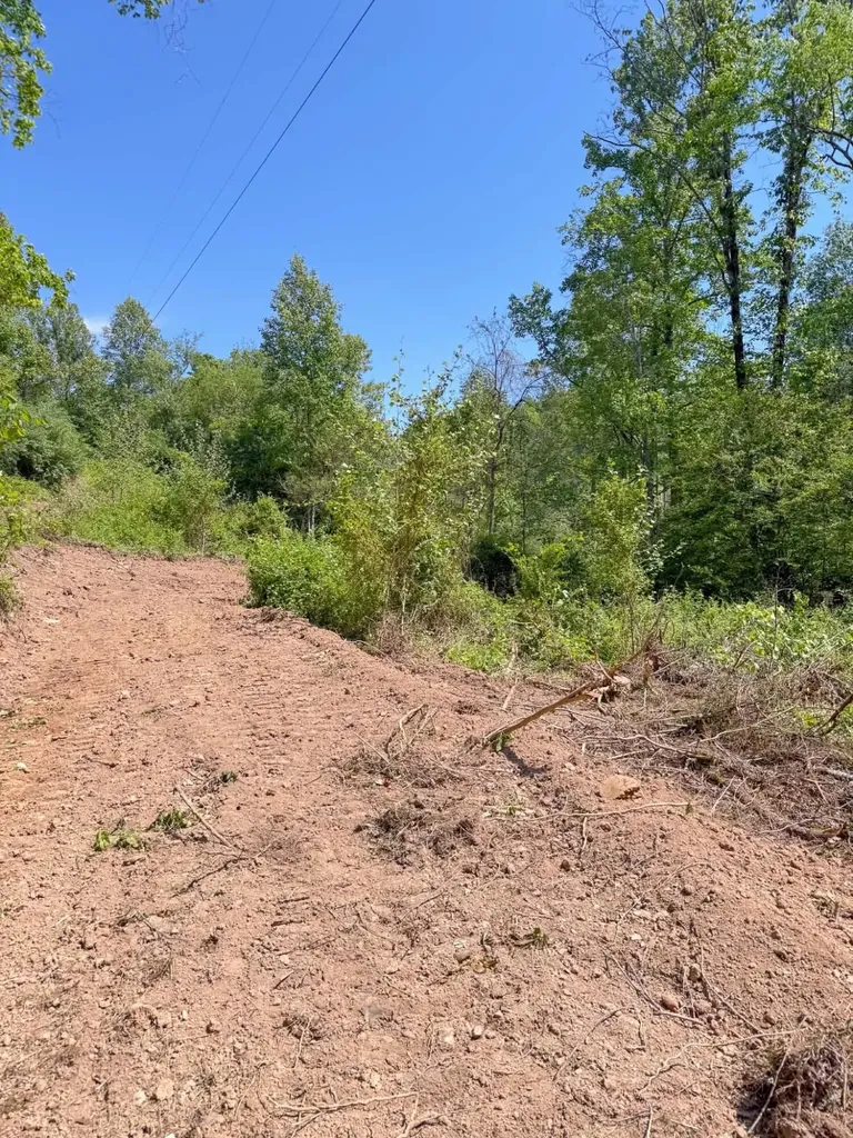 0 Ky-706 Road Sandy Hook KY 41171