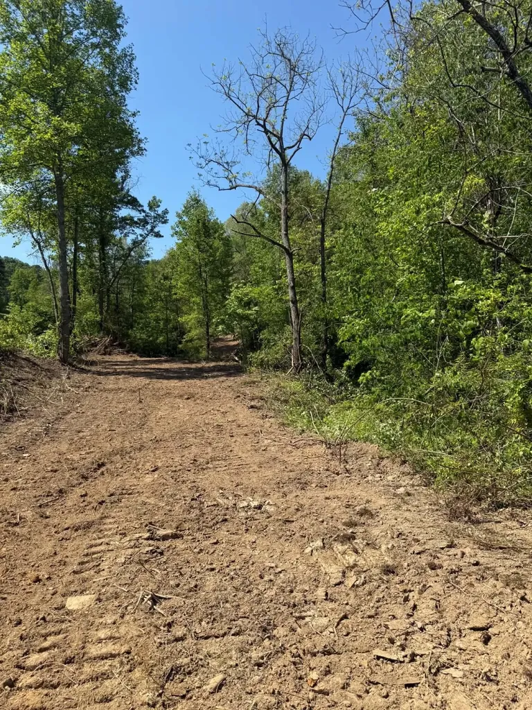 0 Ky-706 Road Sandy Hook KY 41171