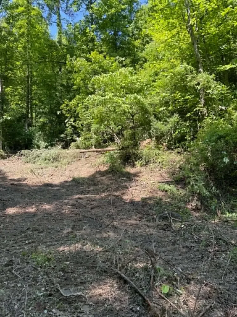 0 Ky-706 Road Sandy Hook KY 41171