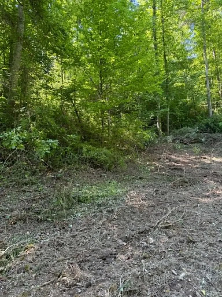 0 Ky-706 Road Sandy Hook KY 41171