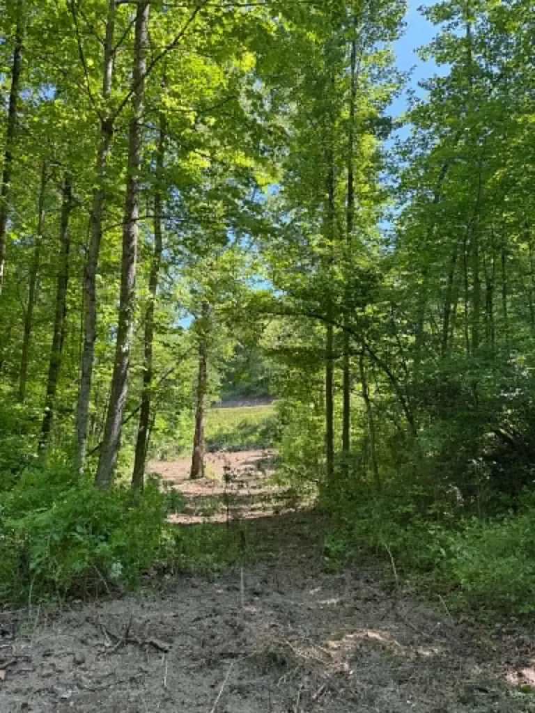 0 Ky-706 Road Sandy Hook KY 41171