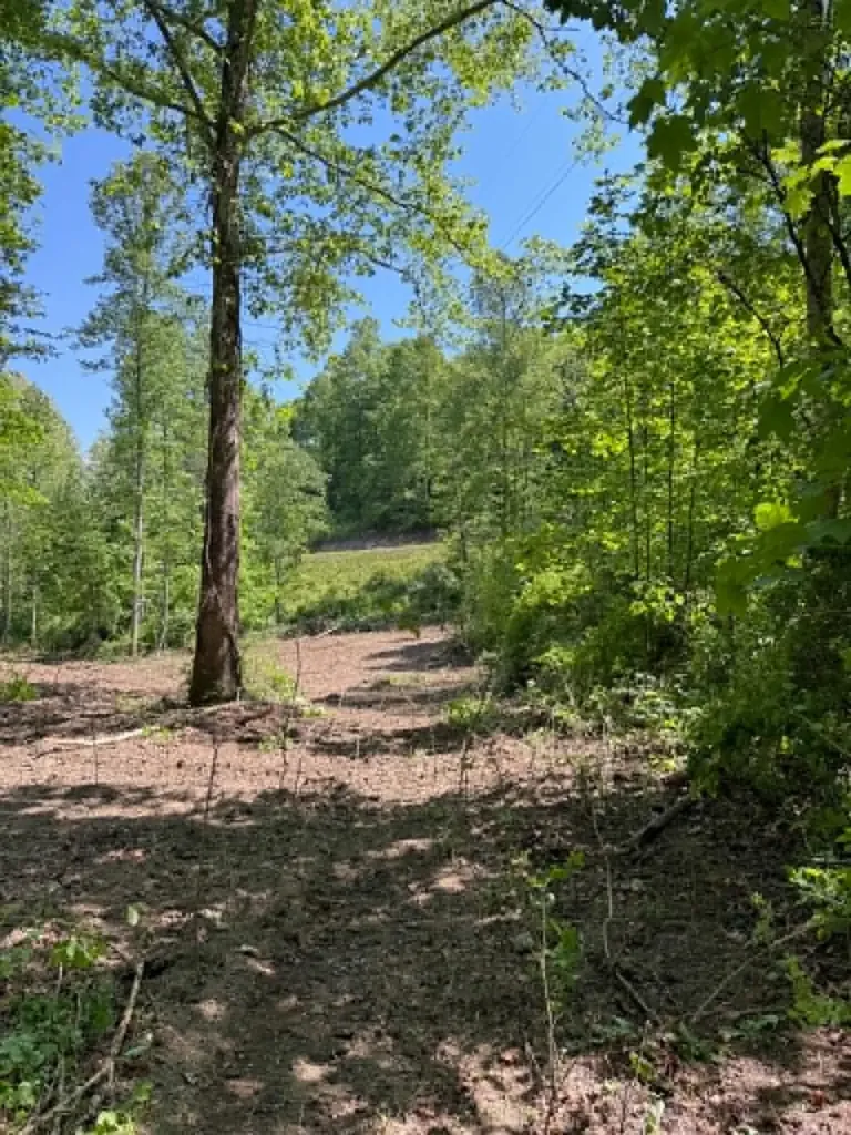 0 Ky-706 Road Sandy Hook KY 41171