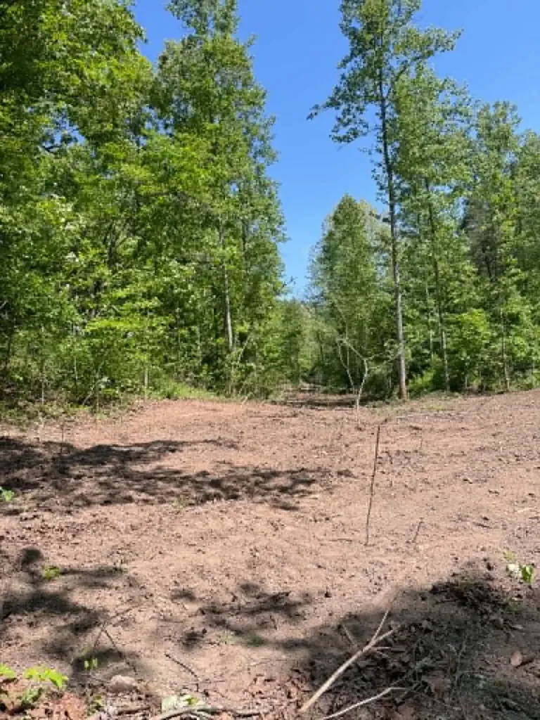 0 Ky-706 Road Sandy Hook KY 41171