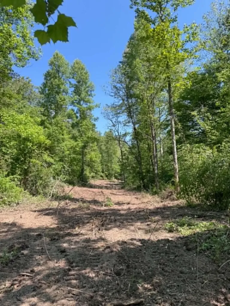 0 Ky-706 Road Sandy Hook KY 41171