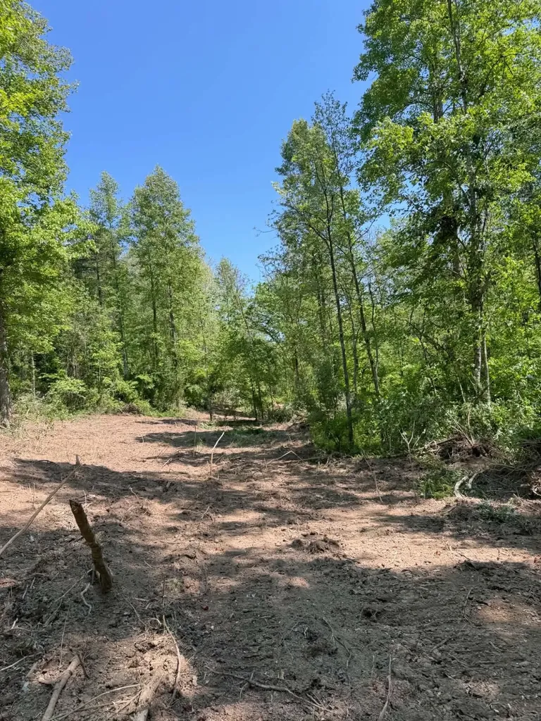 0 Ky-706 Road Sandy Hook KY 41171