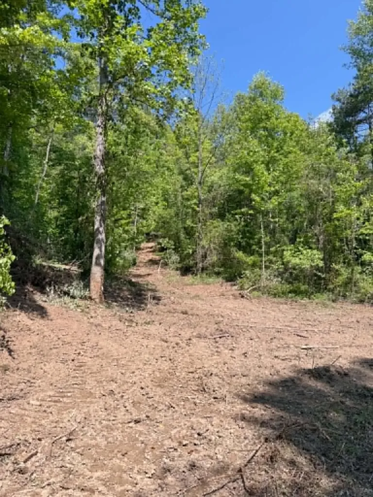 0 Ky-706 Road Sandy Hook KY 41171