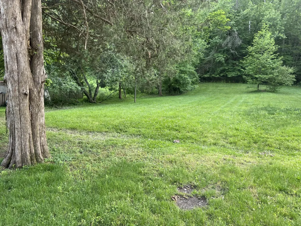 443 N Wilson Avenue Morehead KY 40351