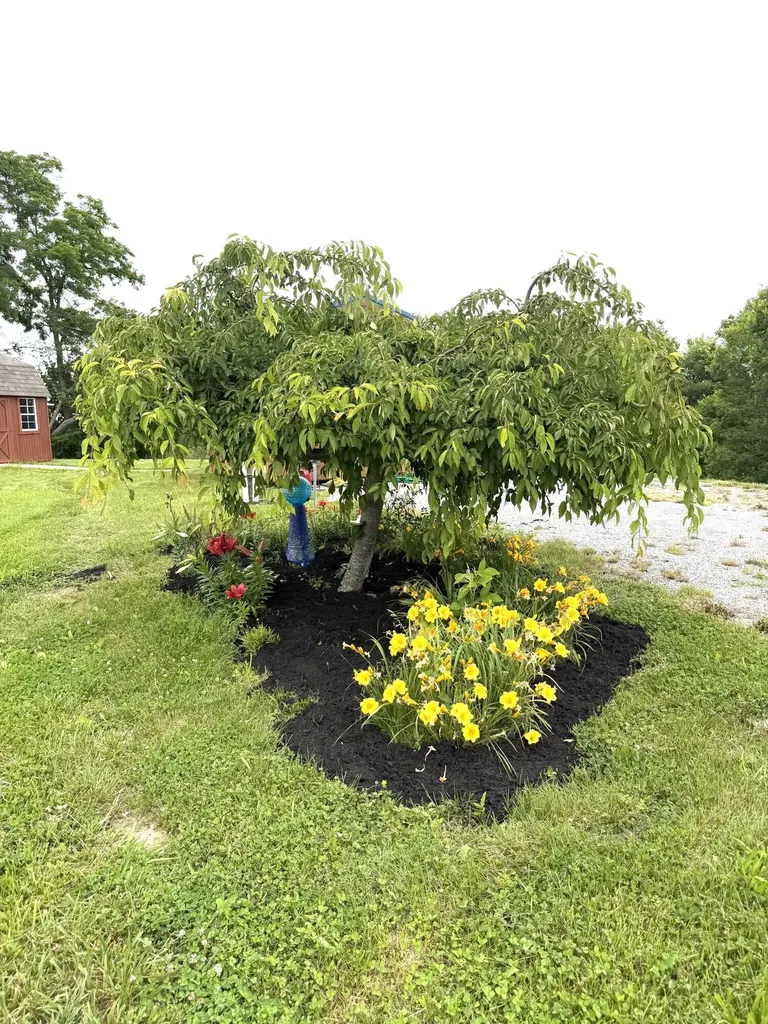 743 Keenon Road Harrodsburg KY 40330
