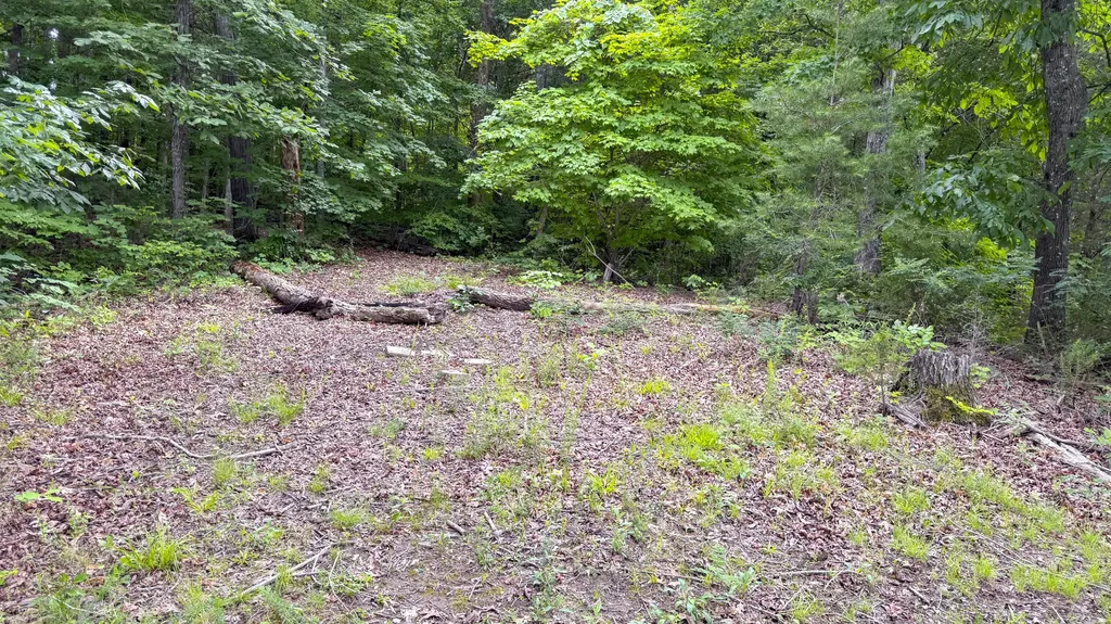 554 Colson Drive Bronston KY 42518