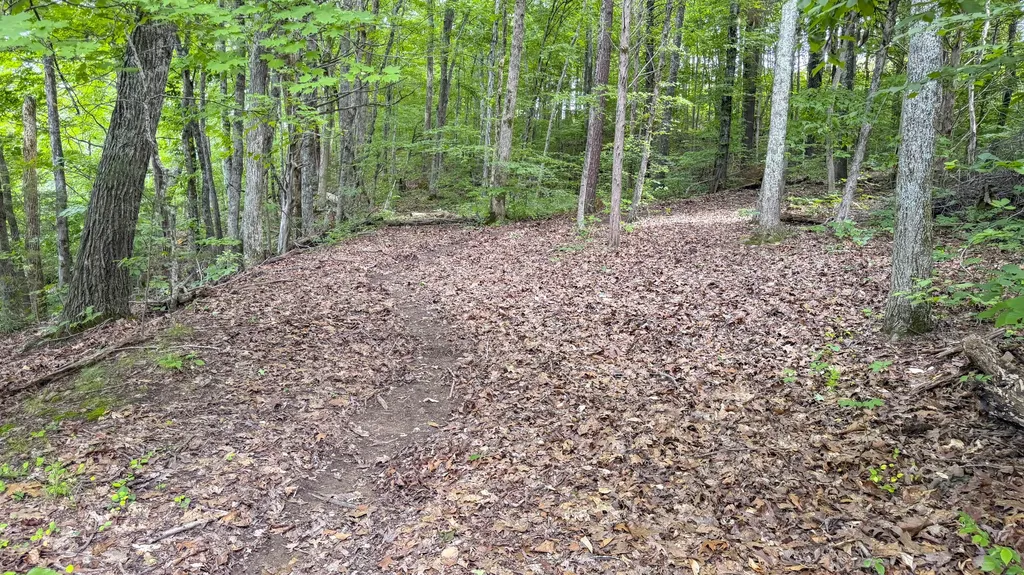 554 Colson Drive Bronston KY 42518