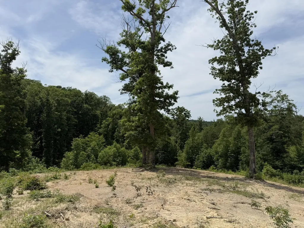Lot 9-10 Kenway Drive Irvine KY 40336