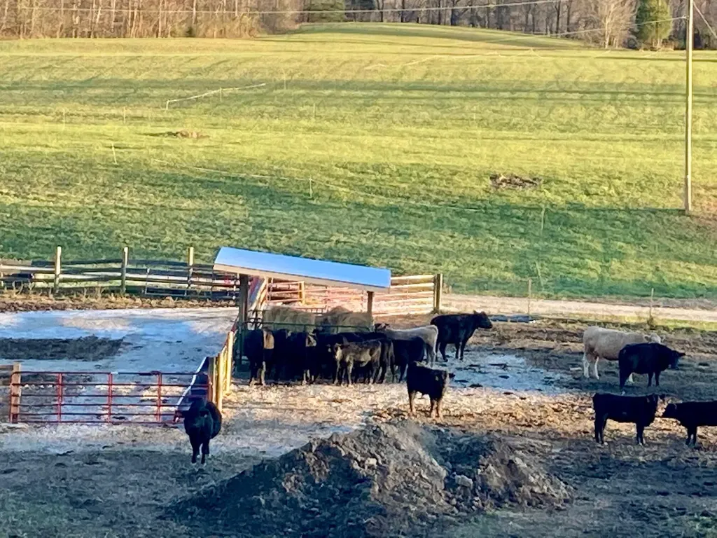 1235 Long Branch-land Beattyville KY 41311