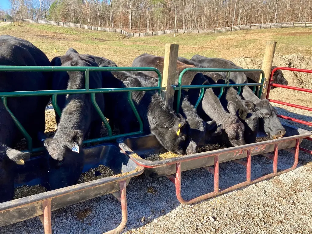 1235 Long Branch-land Beattyville KY 41311