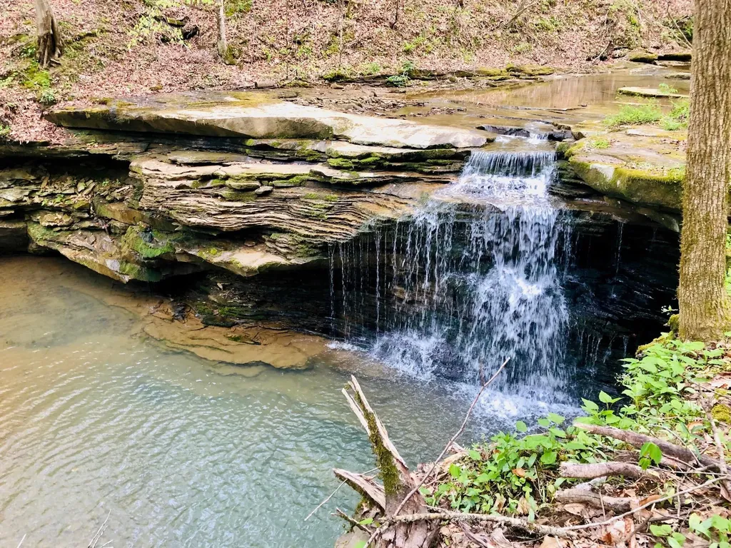 1235 Long Branch-land Beattyville KY 41311