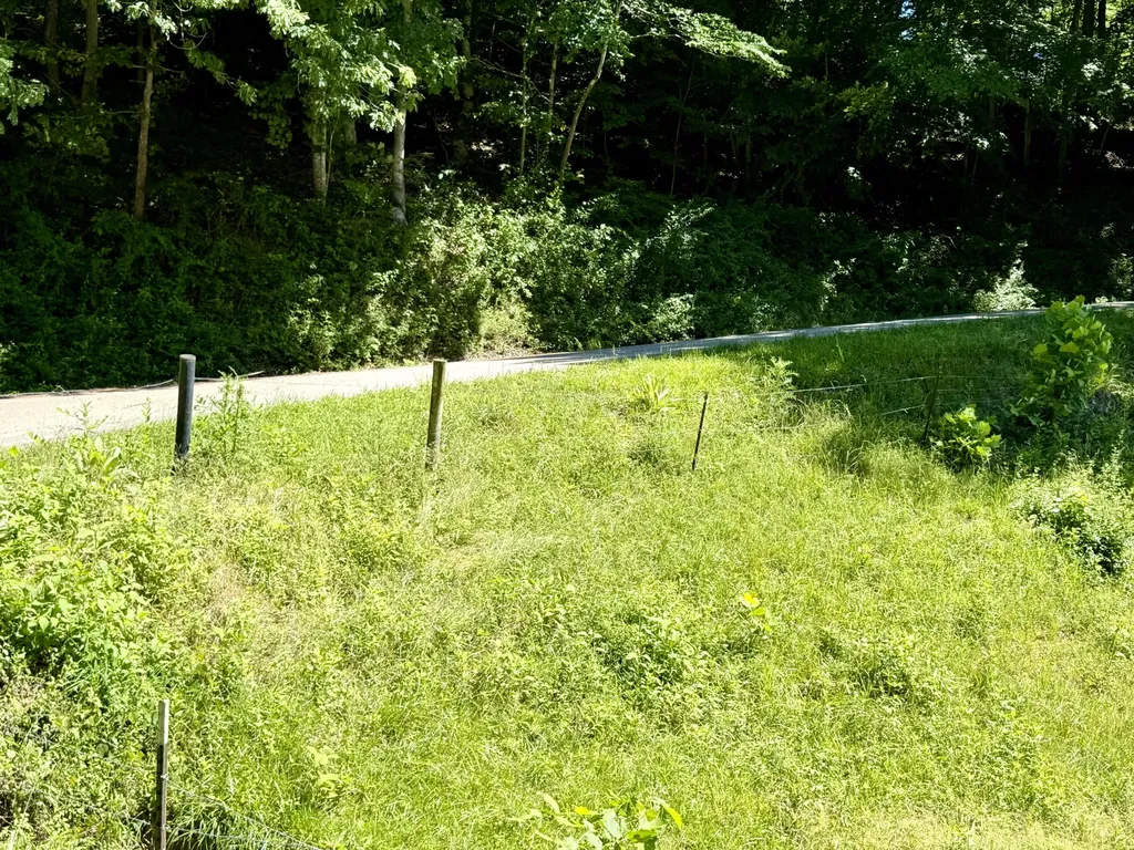 1235 Long Branch-land Beattyville KY 41311