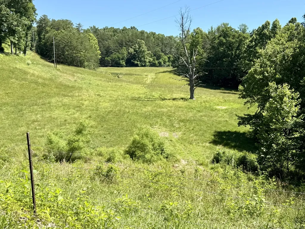 1235 Long Branch-land Beattyville KY 41311