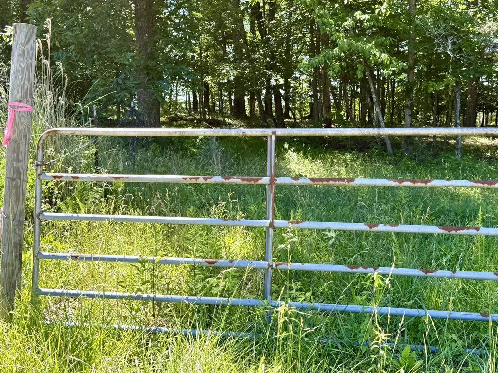 1235 Long Branch-land Beattyville KY 41311
