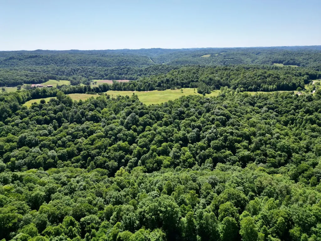 1235 Long Branch-land Beattyville KY 41311