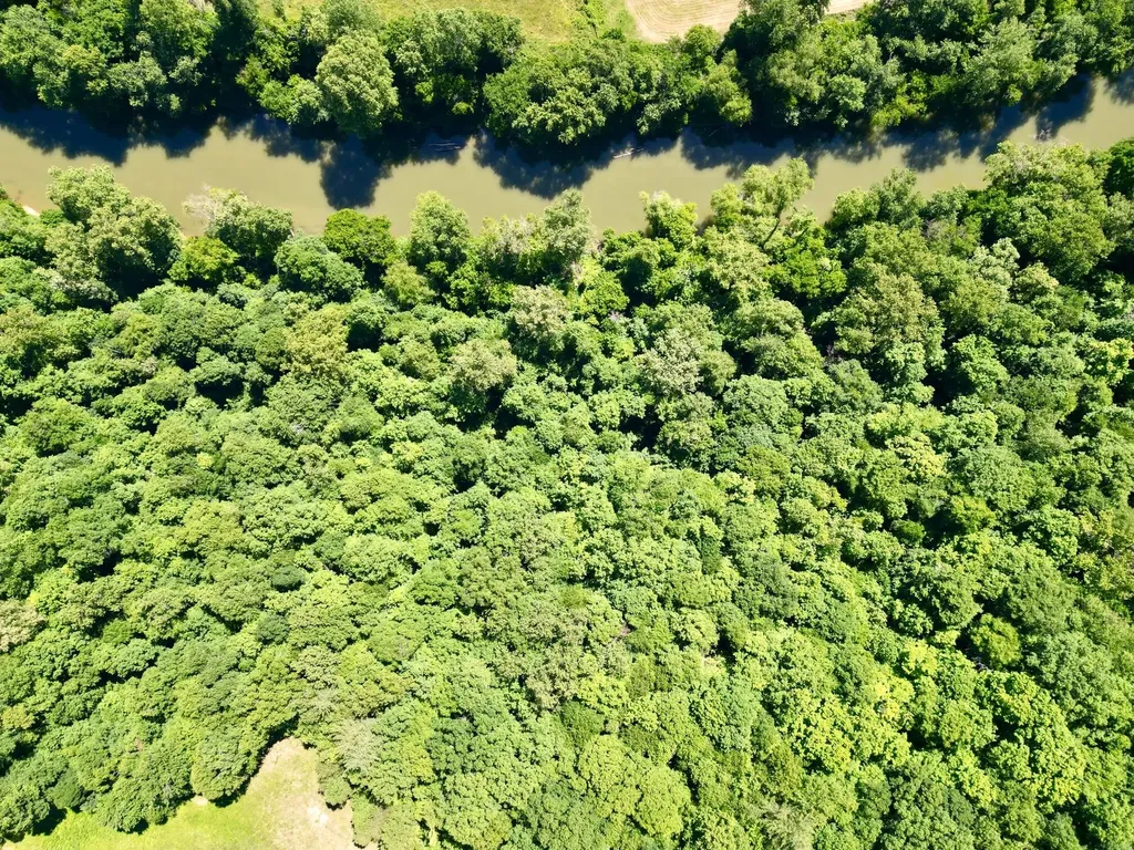 1235 Long Branch-land Beattyville KY 41311