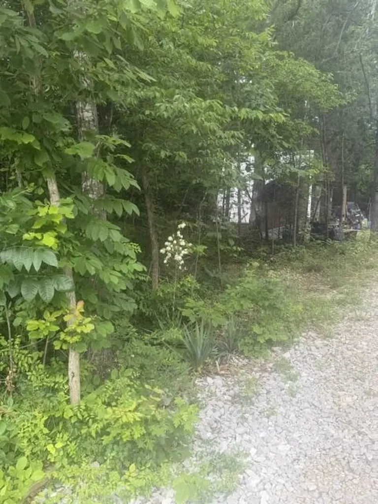 970 Lakeshore Drive Burnside KY 42519