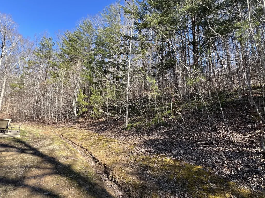 400 Buc Road Williamsburg KY 40769