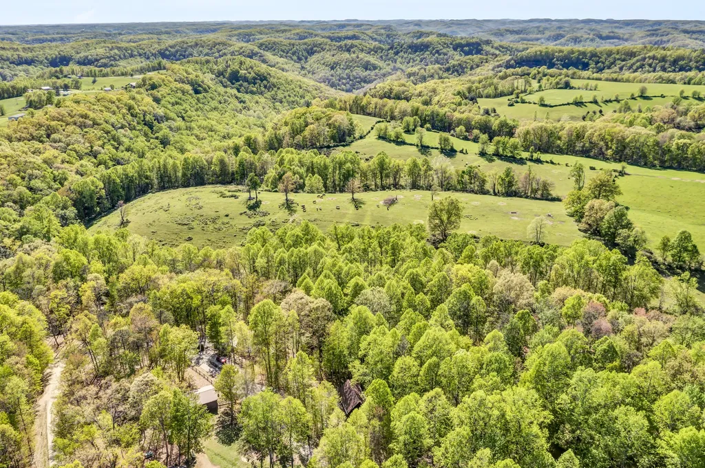 241 Whitts Acres Lane Wellington KY 40387
