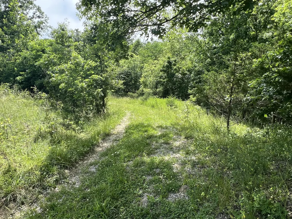 1227 Little Crooked Creek Road Lawrenceburg KY 40342