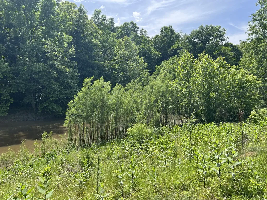 1227 Little Crooked Creek Road Lawrenceburg KY 40342