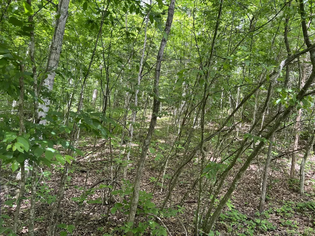 1227 Little Crooked Creek Road Lawrenceburg KY 40342