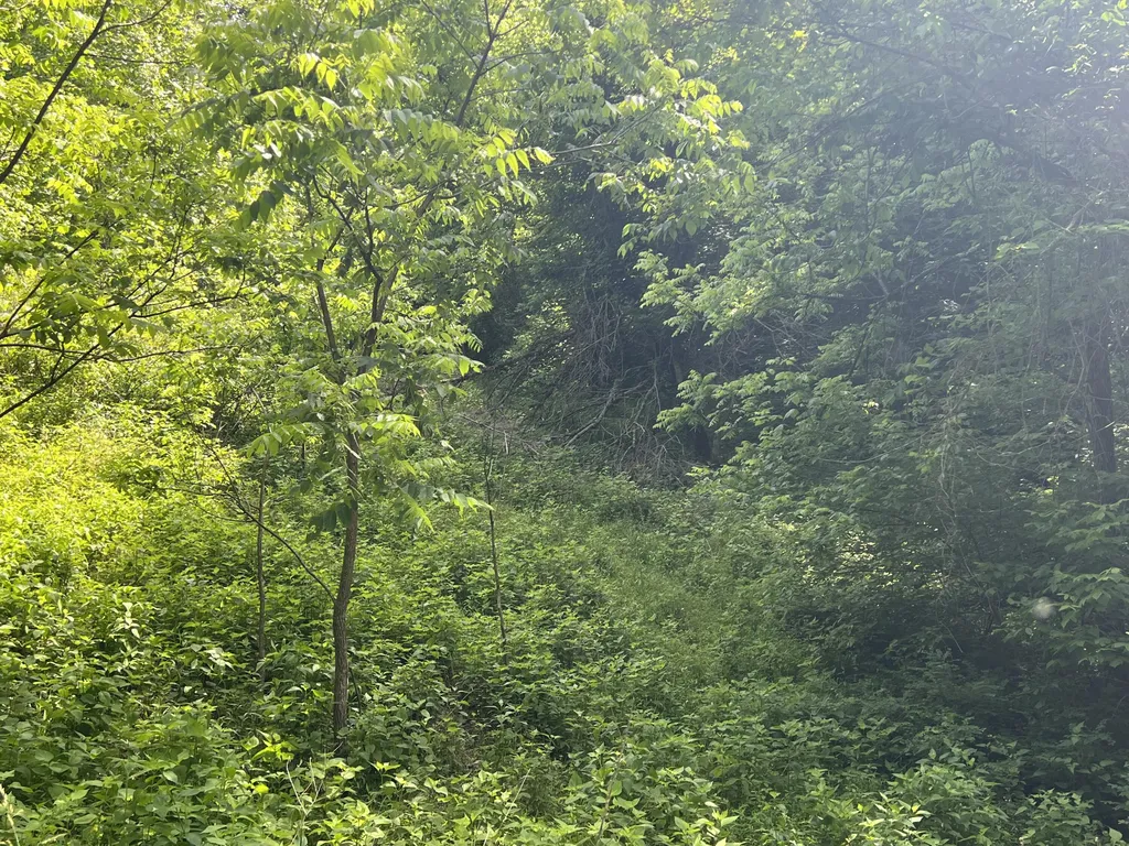 1227 Little Crooked Creek Road Lawrenceburg KY 40342