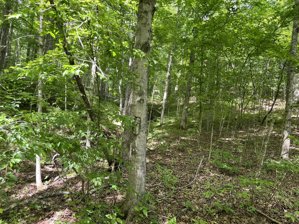 1227 Little Crooked Creek Road Lawrenceburg KY 40342