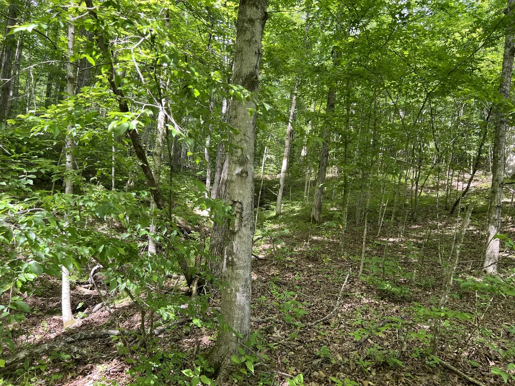 1227 Little Crooked Creek Road Lawrenceburg KY 40342
