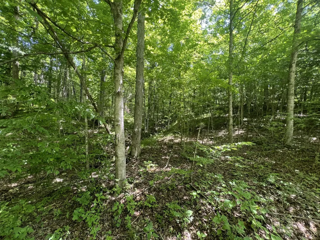 1227 Little Crooked Creek Road Lawrenceburg KY 40342