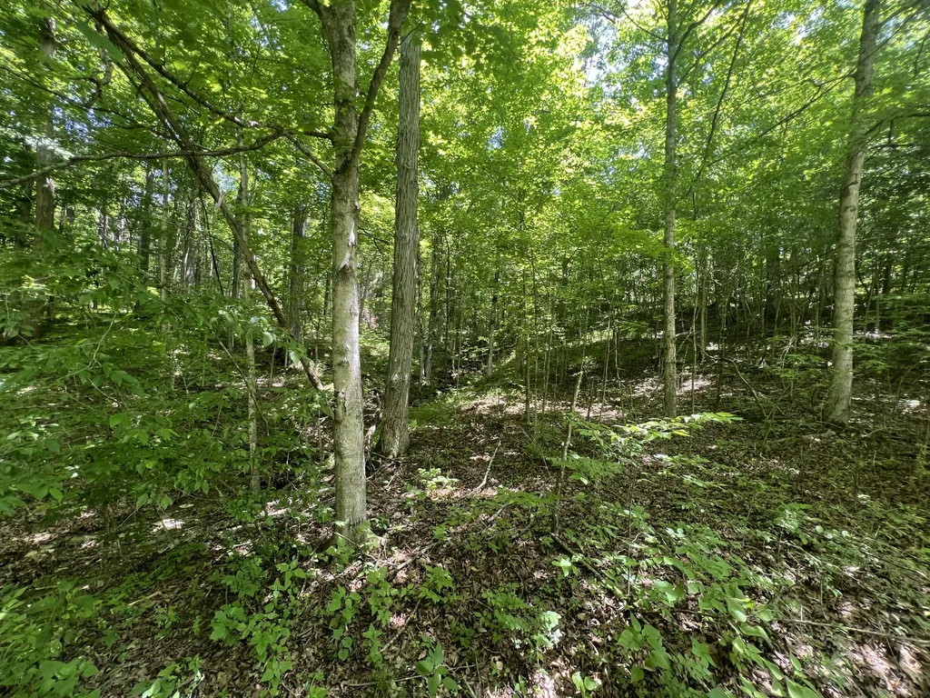 1227 Little Crooked Creek Road Lawrenceburg KY 40342