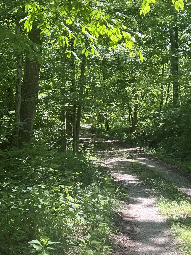 1227 Little Crooked Creek Road Lawrenceburg KY 40342