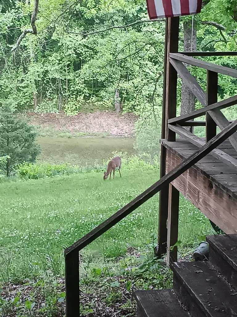 1227 Little Crooked Creek Road Lawrenceburg KY 40342