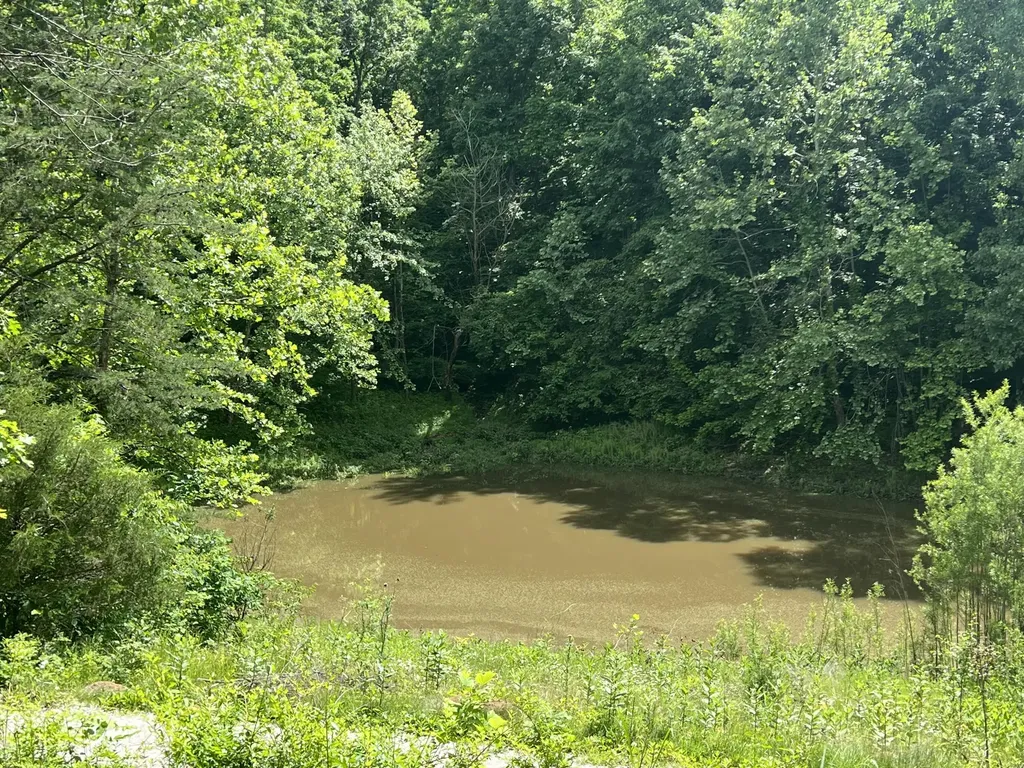 1227 Little Crooked Creek Road Lawrenceburg KY 40342