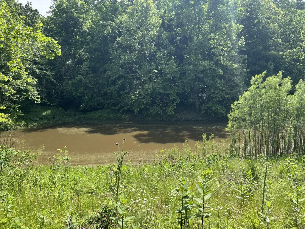 1227 Little Crooked Creek Road Lawrenceburg KY 40342