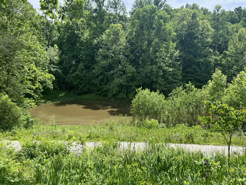 1227 Little Crooked Creek Road Lawrenceburg KY 40342