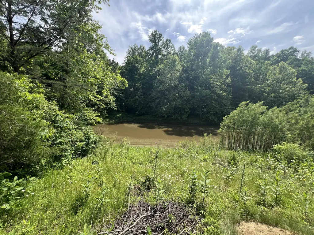 1227 Little Crooked Creek Road Lawrenceburg KY 40342