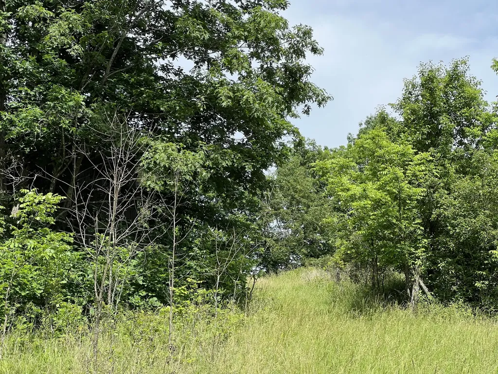 1227 Little Crooked Creek Road Lawrenceburg KY 40342
