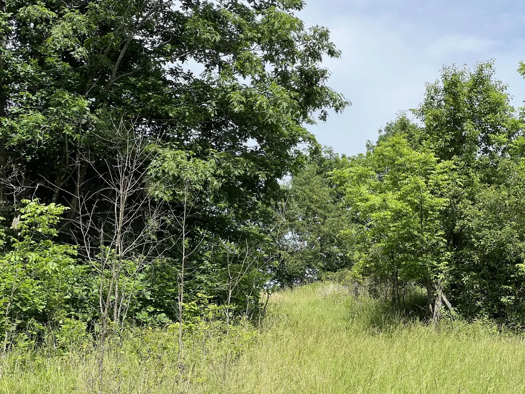 1227 Little Crooked Creek Road Lawrenceburg KY 40342