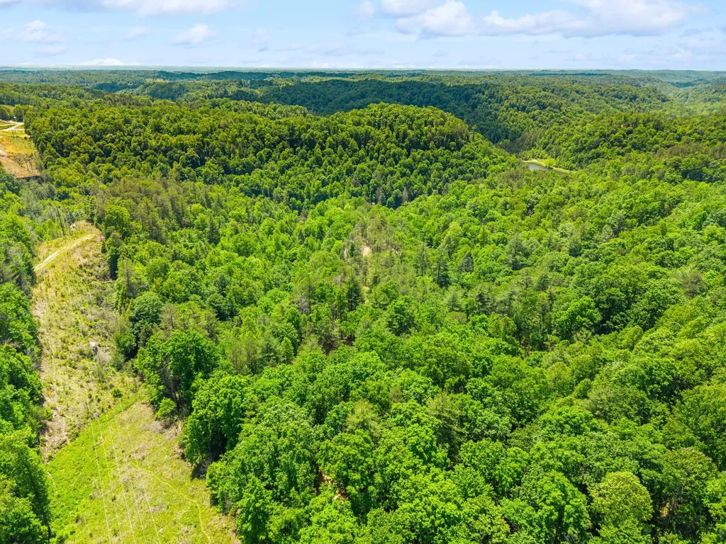 Lot 256 Cedar Bluff Street Zoe KY 41397
