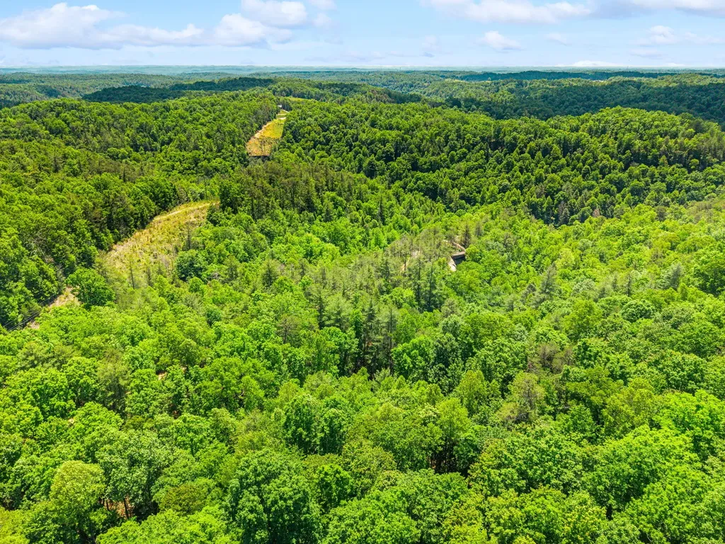 Lot 256 Cedar Bluff Street Zoe KY 41397