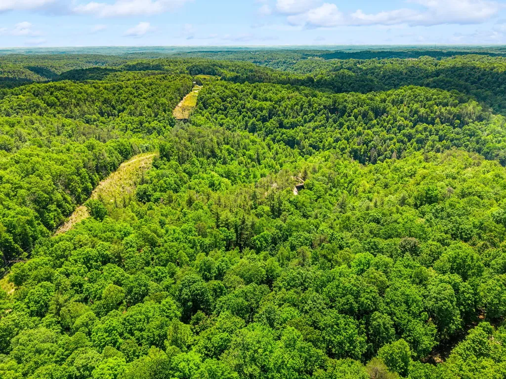 Lot 256 Cedar Bluff Street Zoe KY 41397