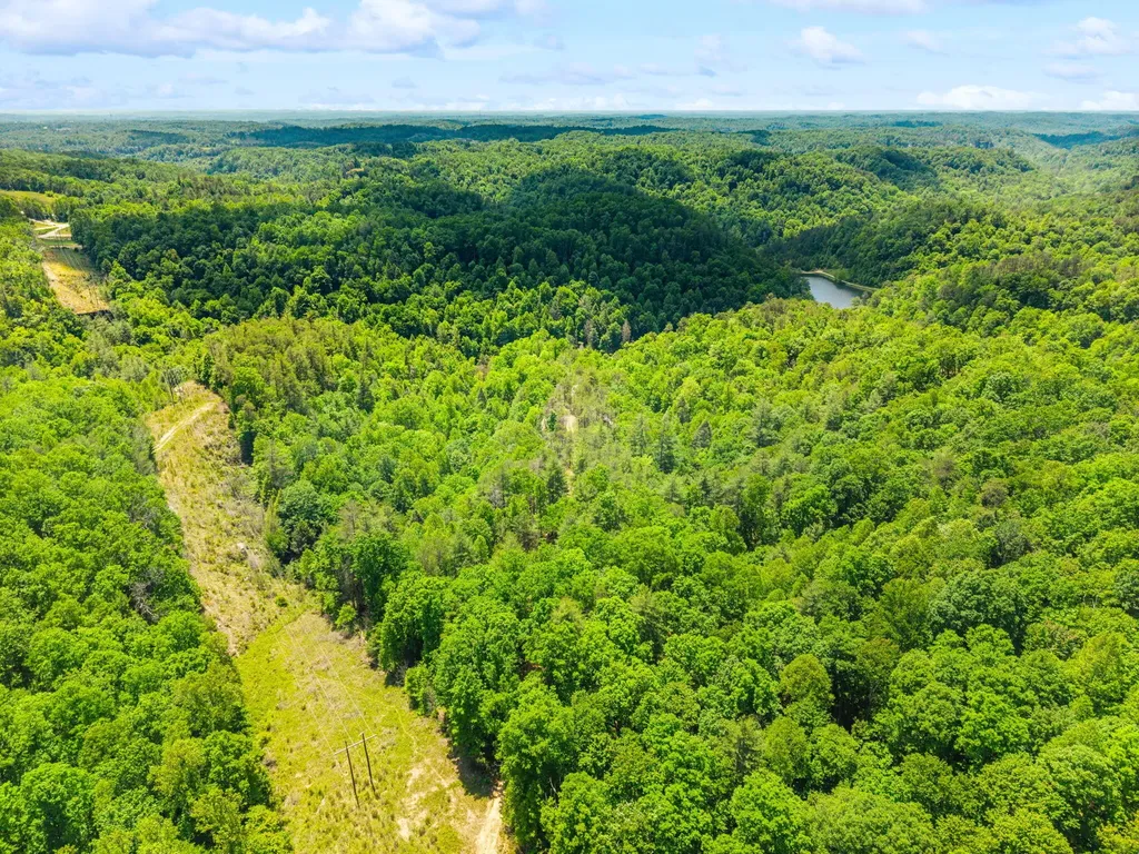 Lot 256 Cedar Bluff Street Zoe KY 41397
