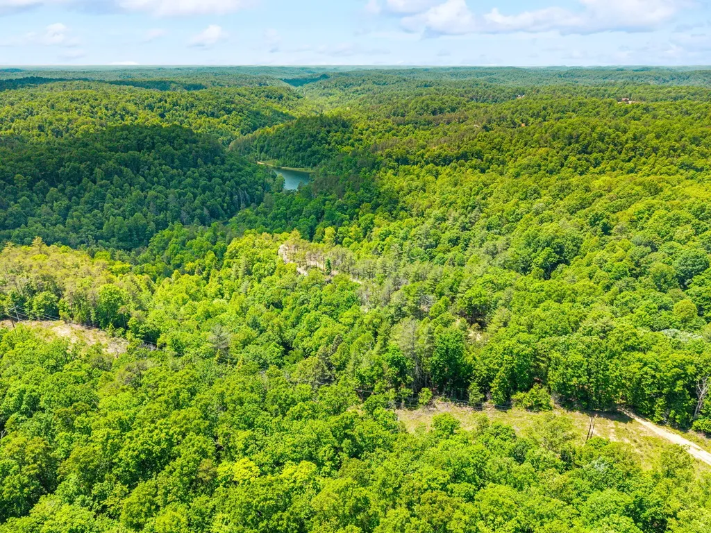 Lot 256 Cedar Bluff Street Zoe KY 41397